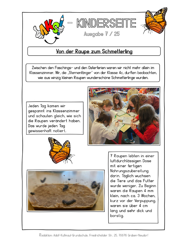 Bild zu 2025 - Ausgabe W19