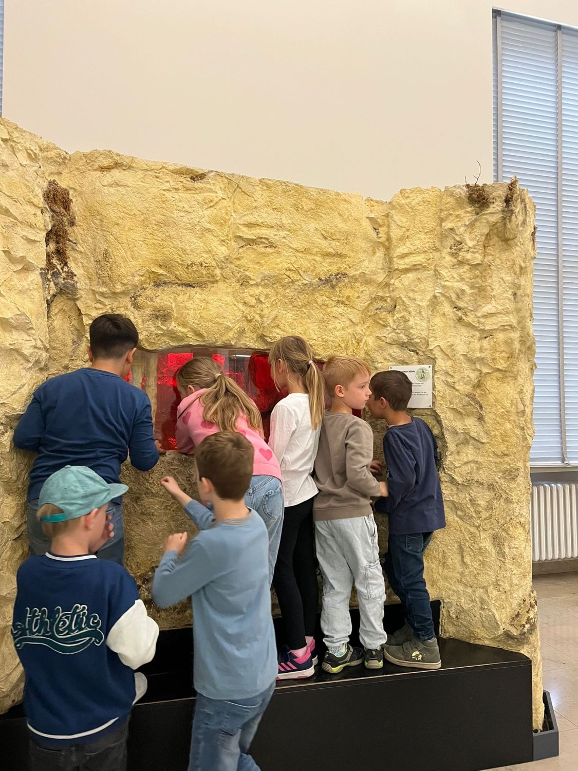 Ausflug der Klasse 1b ins Naturkundemuseum Karlsruhe - Bild 06
