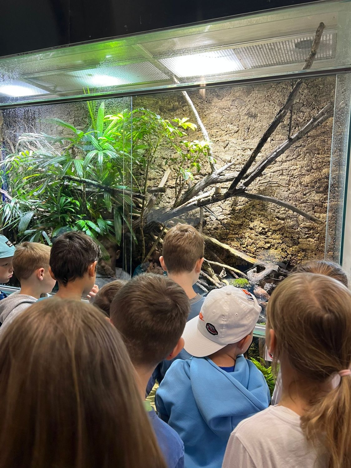 Ausflug der Klasse 1b ins Naturkundemuseum Karlsruhe - Bild 07