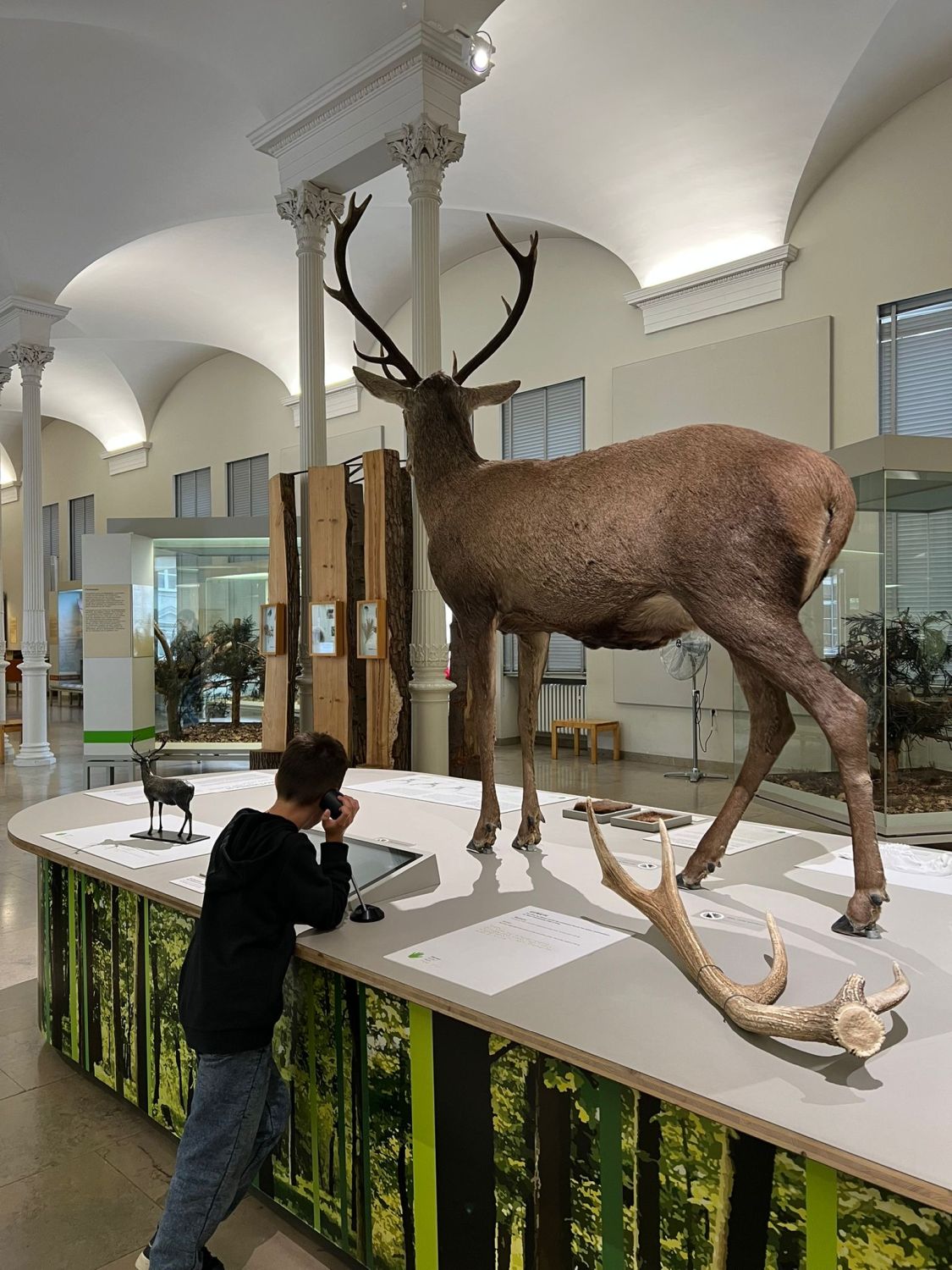 Ausflug der Klasse 1b ins Naturkundemuseum Karlsruhe - Bild 08