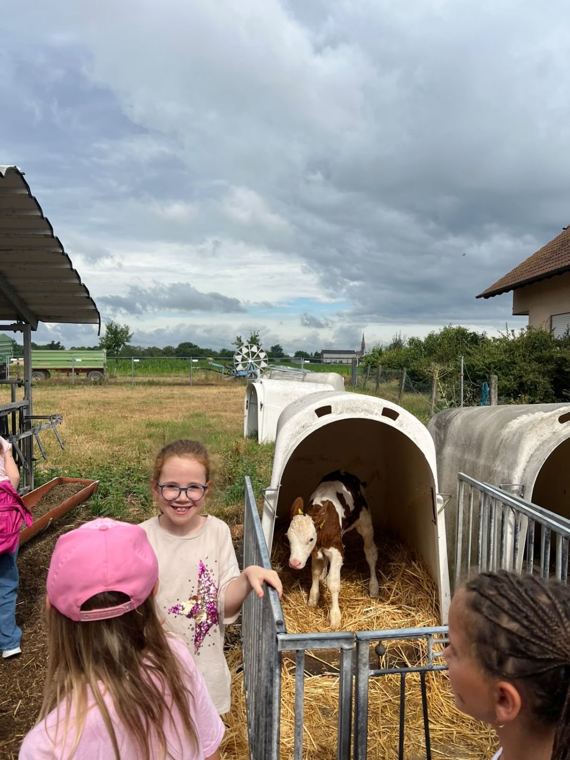 Kühe, Kälbchen und große Maschinen die Klasse 1b entdeckt das Leben auf dem Bauernhof - Bild 04