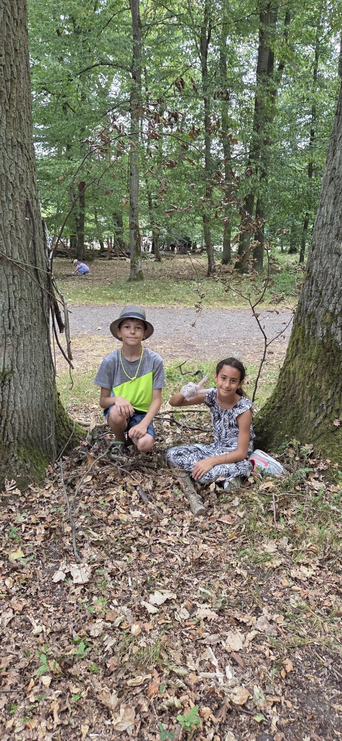 Lerngang der Klasse 3b in den Wald - Bild 06