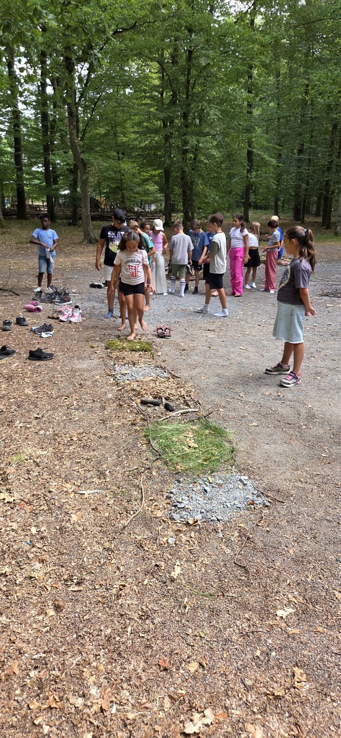 Lerngang der Klasse 3b in den Wald - Bild 13