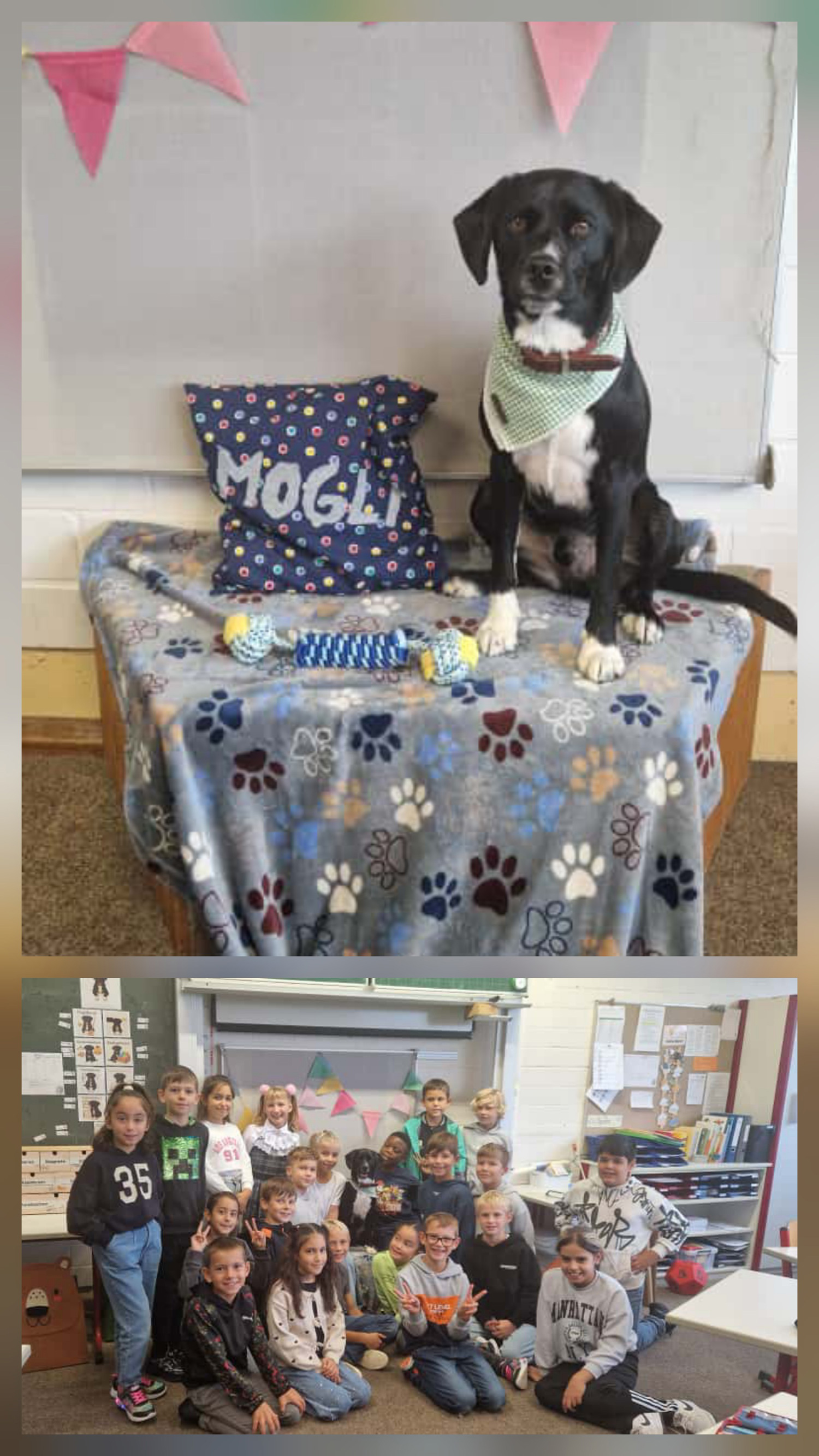 Moglis erster Schultag im neuen Schuljahr - Bild 01