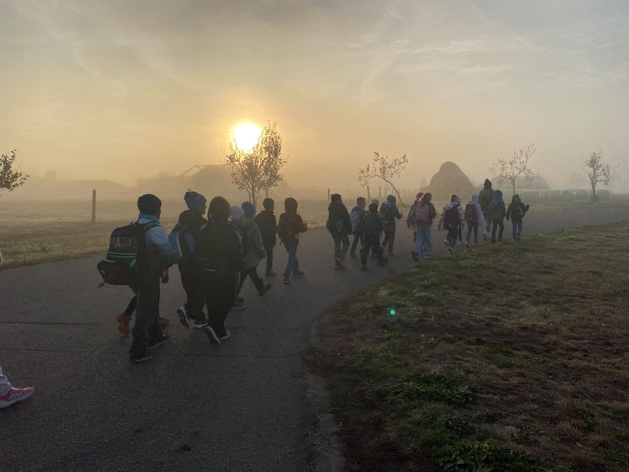 Ein spannender Waldtag der Klasse 2b