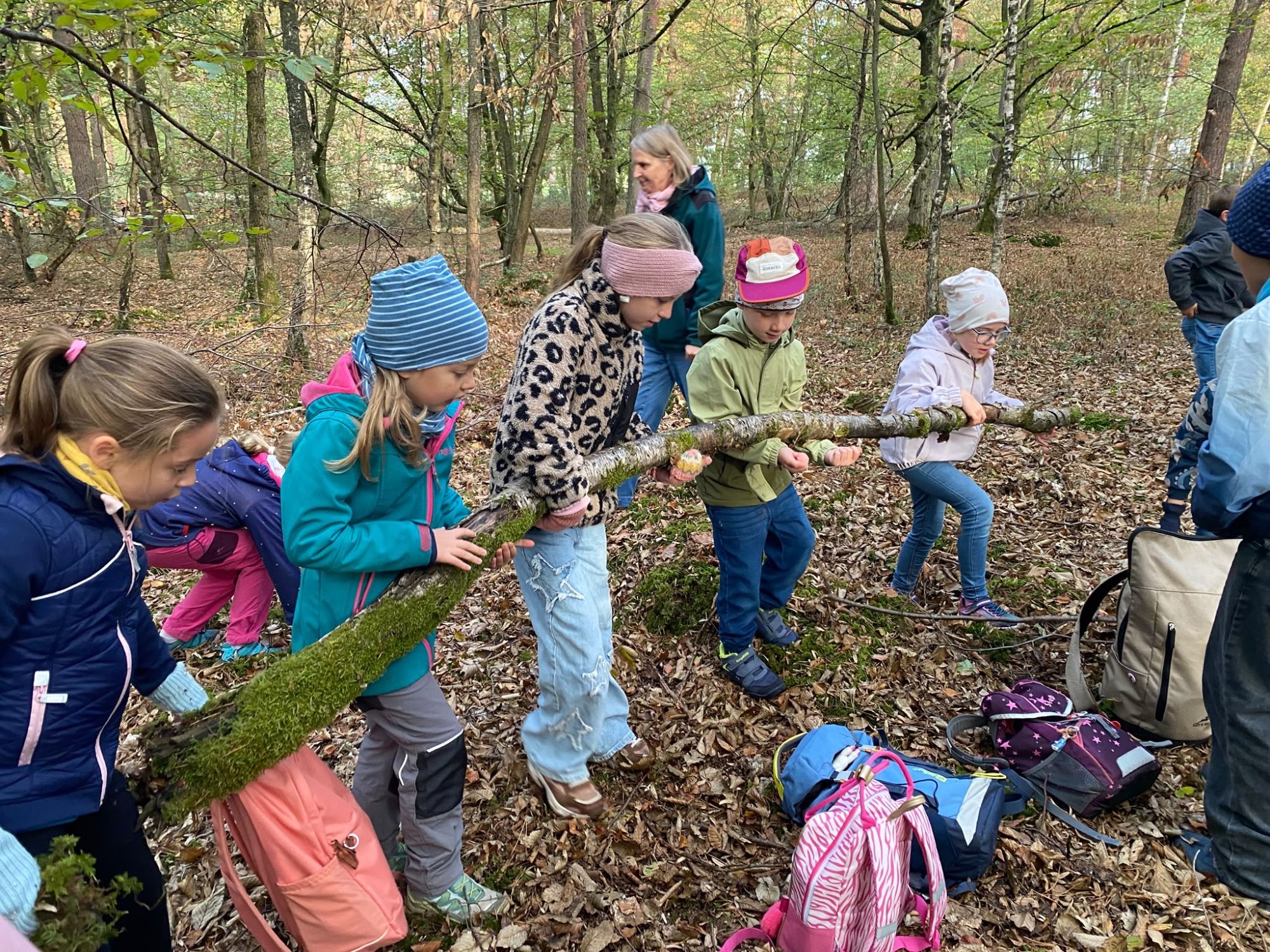 Ein spannender Waldtag der Klasse 2b - Bild 02