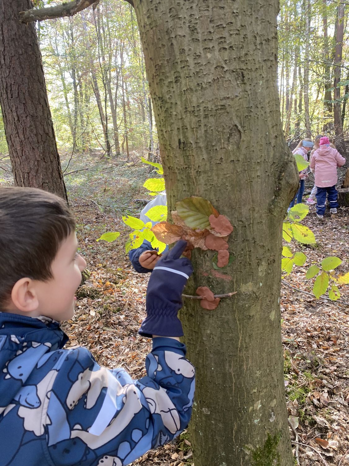 Ein spannender Waldtag der Klasse 2b - Bild 10
